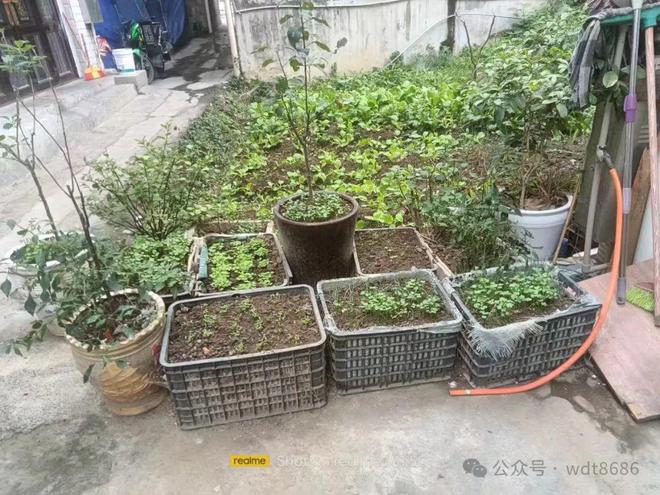 旺”指哪5人？上坟添土有啥讲究？爱游戏平台“五人不添土子孙代代